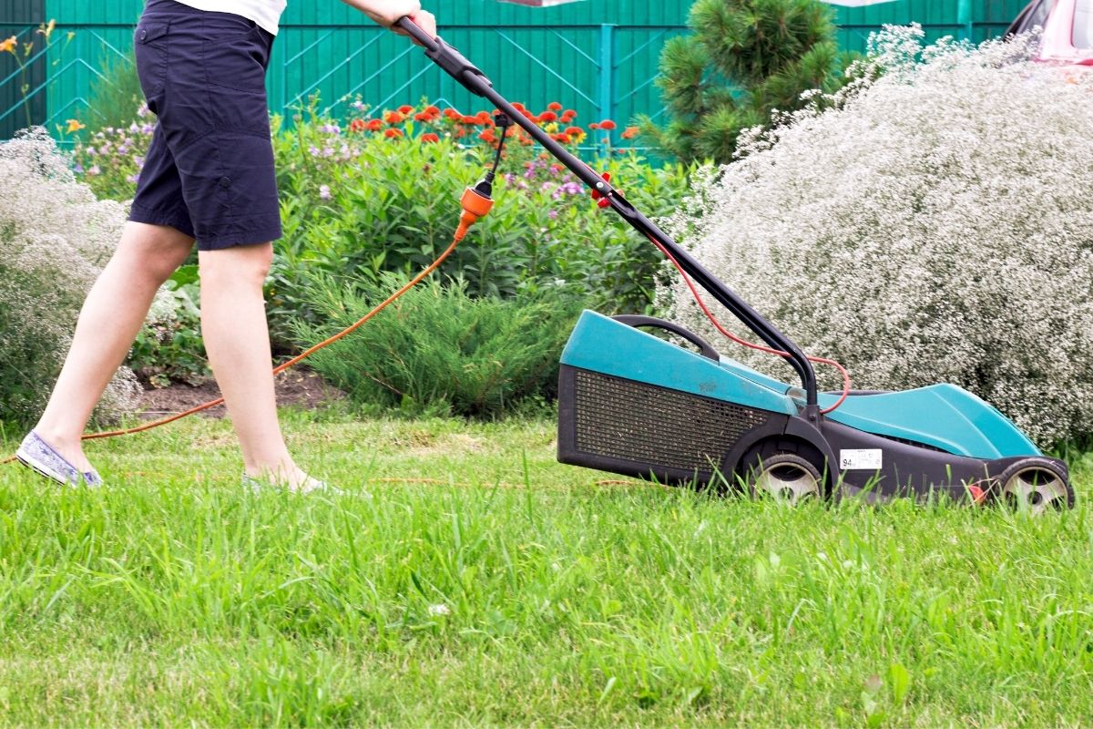 Corded Vs Cordless Lawn Mower (2)