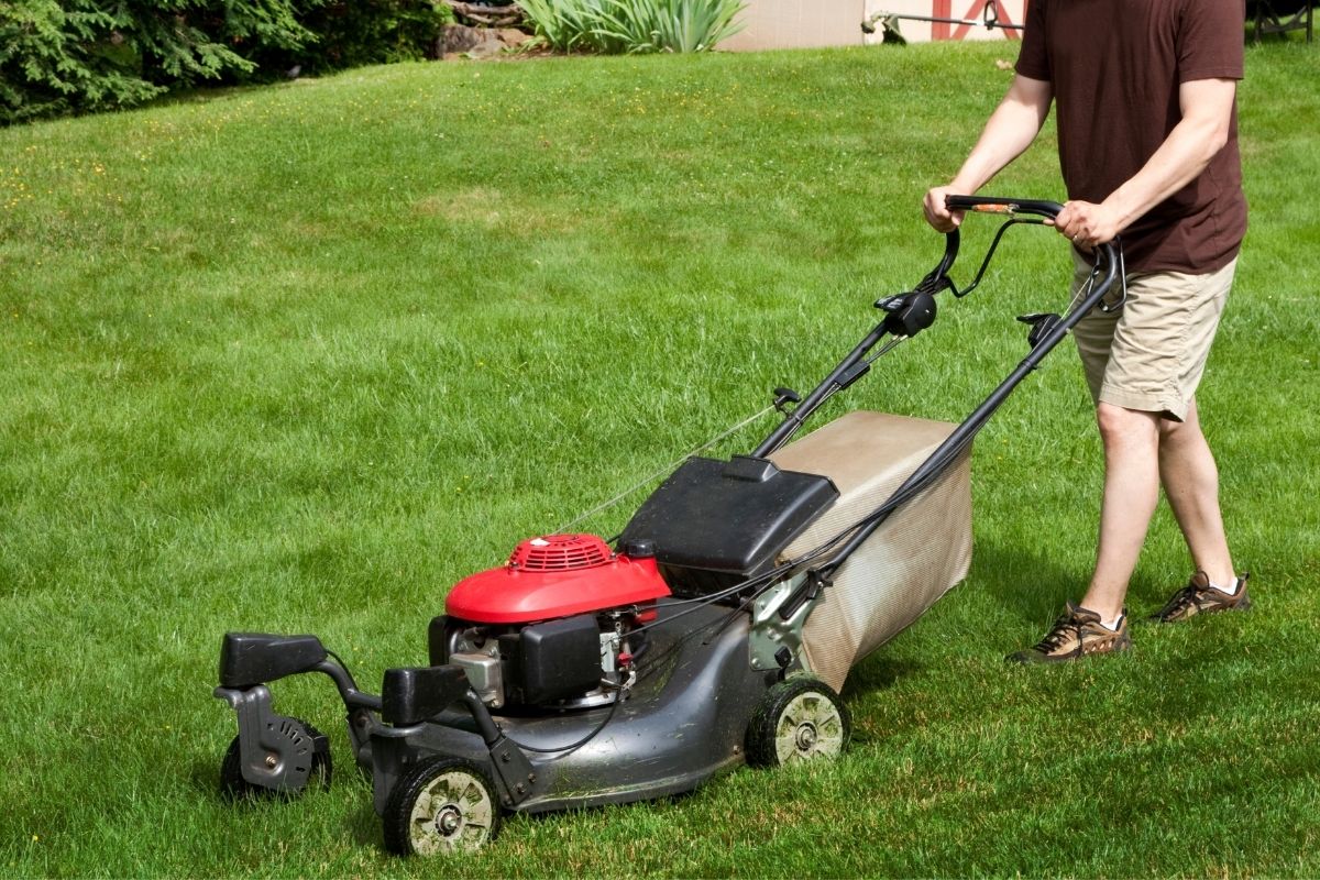 Corded Vs Cordless Lawn Mower (3)