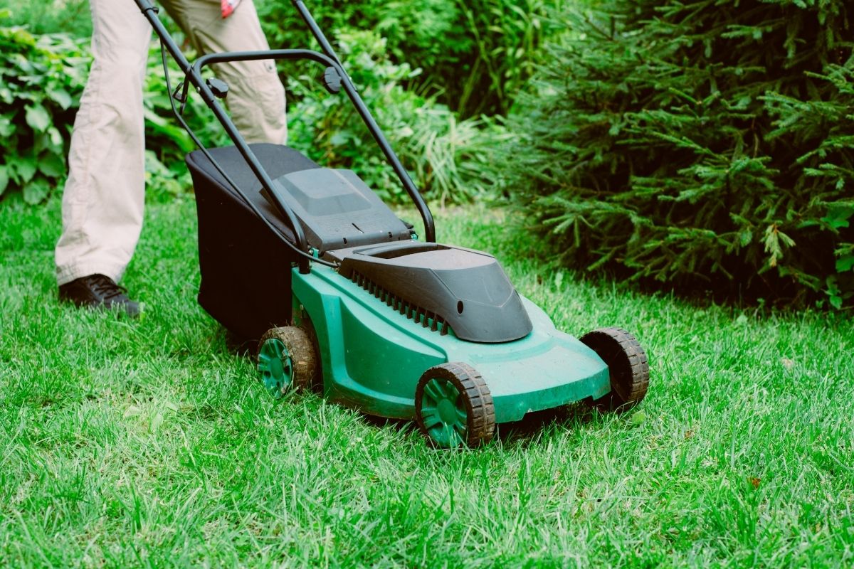 Corded Vs Cordless Lawn Mower (4)