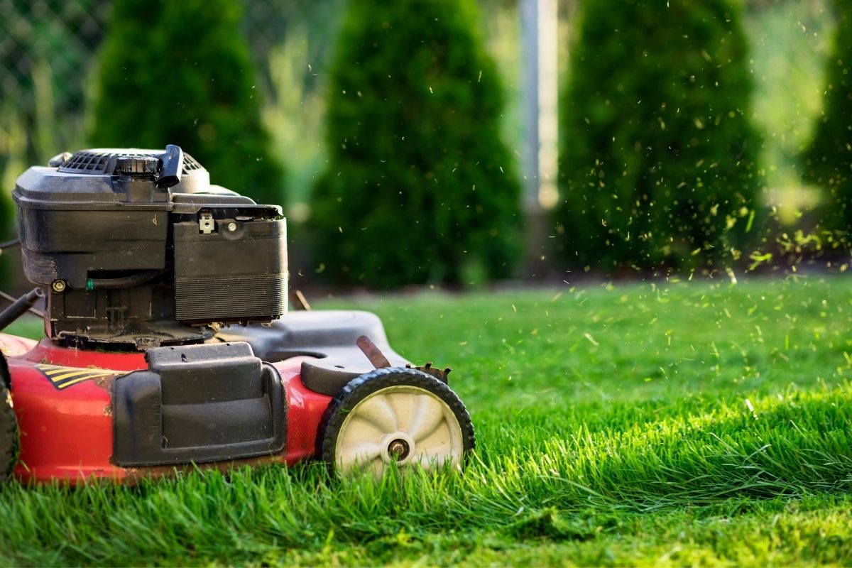 Corded Vs Cordless Lawn Mower