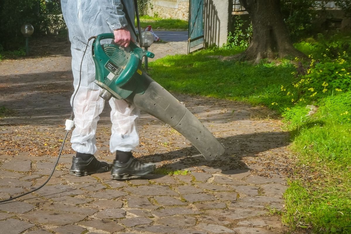 Corded Vs Cordless Leaf Blower (1) Corded Vs Cordless Leaf Blower (1)