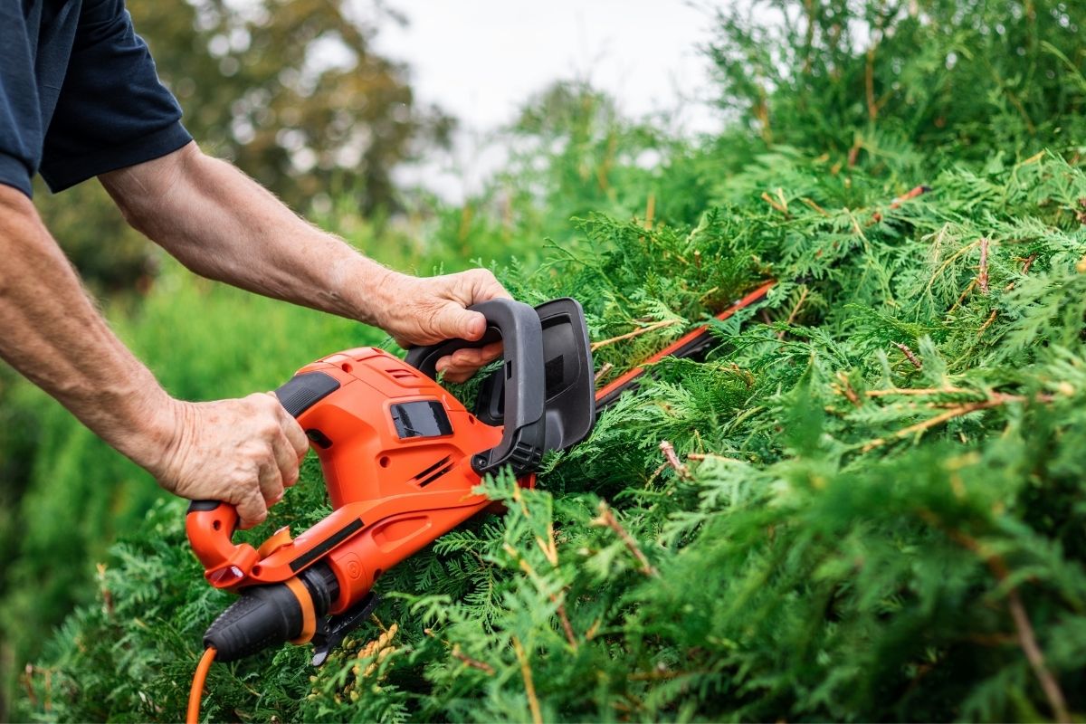 Cordless Vs Corded Hedge Trimmer (1)