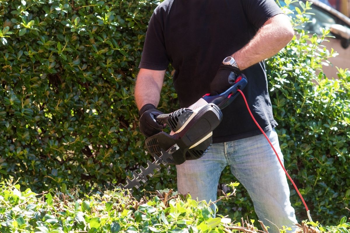 Cordless Vs Corded Hedge Trimmer (3)