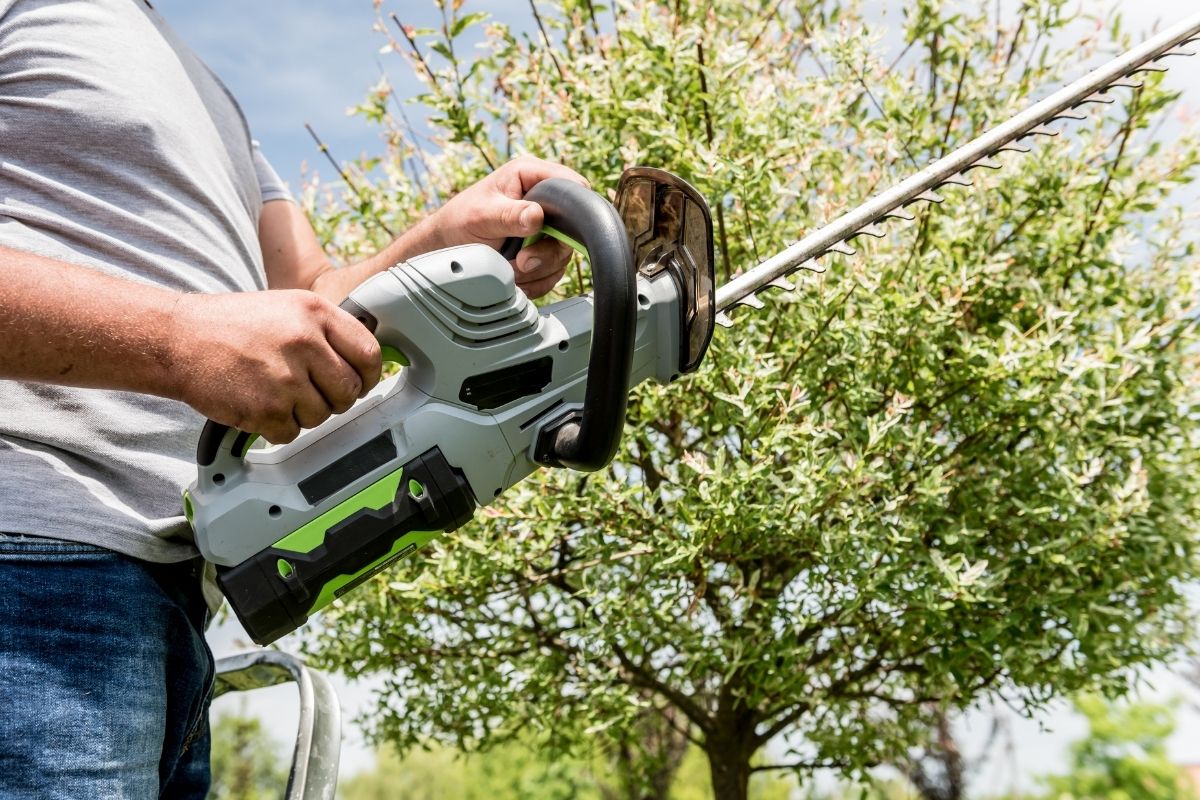 Cordless Vs Corded Hedge Trimmer (5)