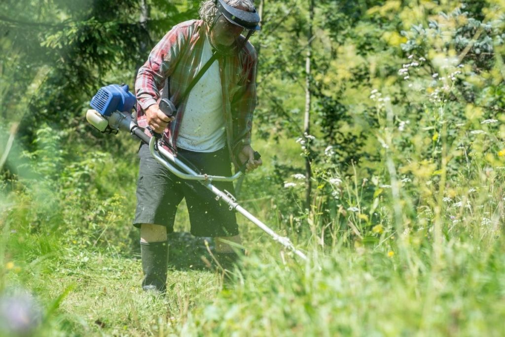 Cordless Vs Gas Weed Eater New Day Practical Energy