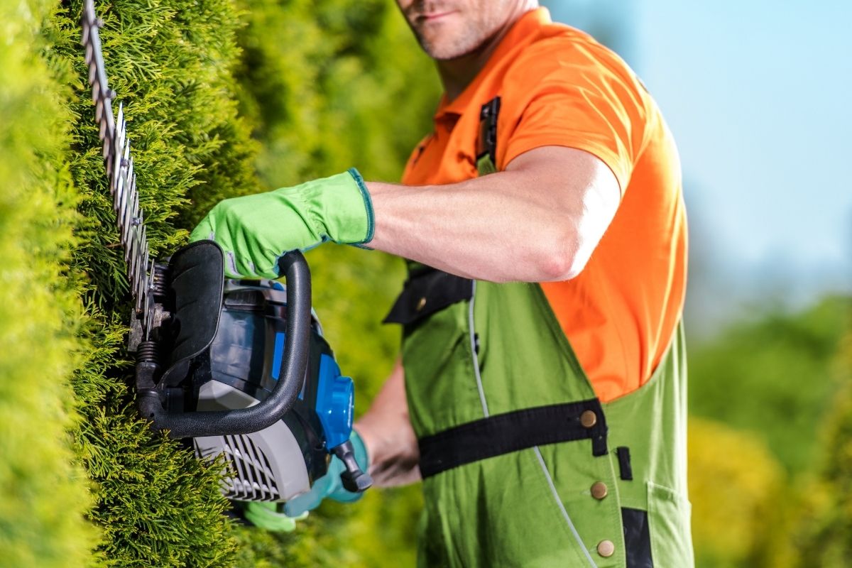 How To Use Cordless Hedge Trimmer